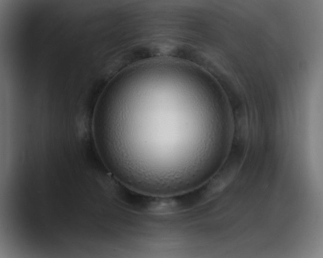 X0000089960274200706291235