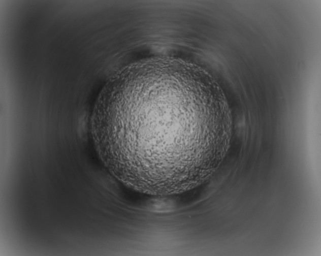 X0000089960275200706291235