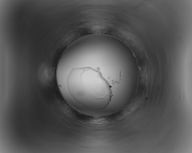 X0000089960278200706291235