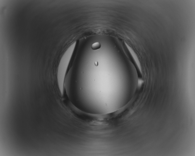 X0000089960280200706291235