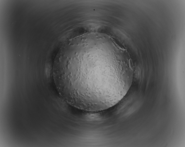 X0000089960283200706291235