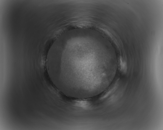 X0000089960284200706291235