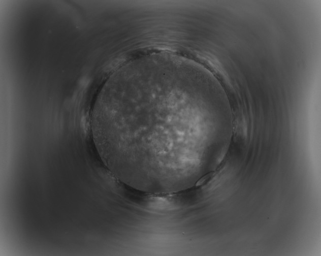 X0000089960285200706291235