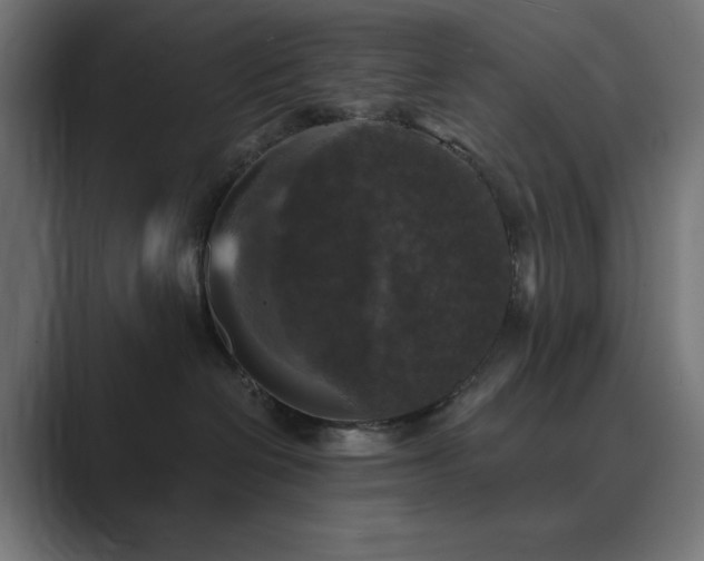 X0000089960286200706291235