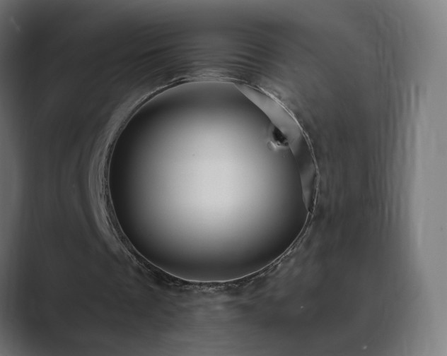 X0000089960289200706291234