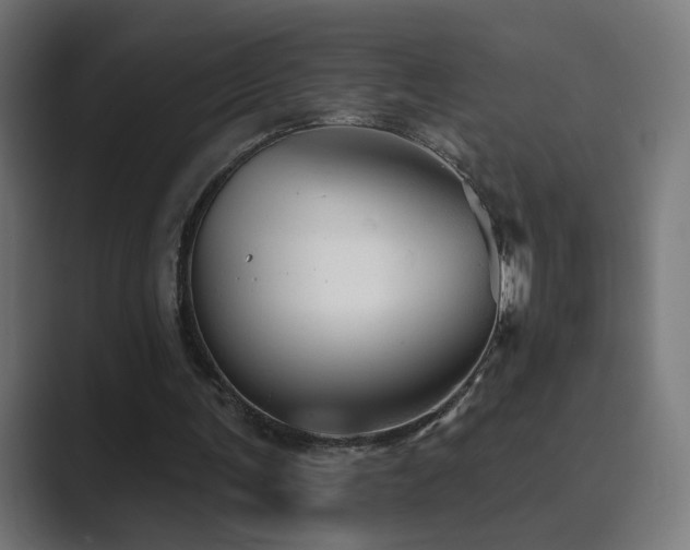 X0000089960291200706291234