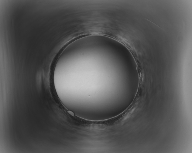 X0000089960292200706291234