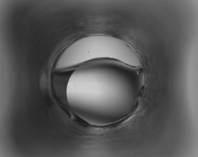 X0000089960293200706291234