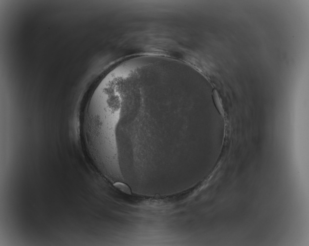X0000089960294200706291234