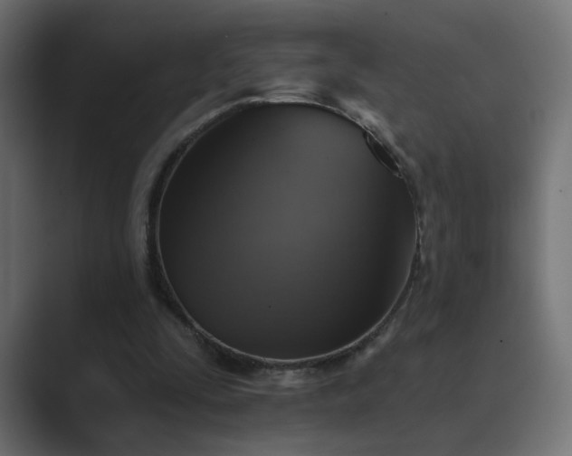 X0000089960295200706291234