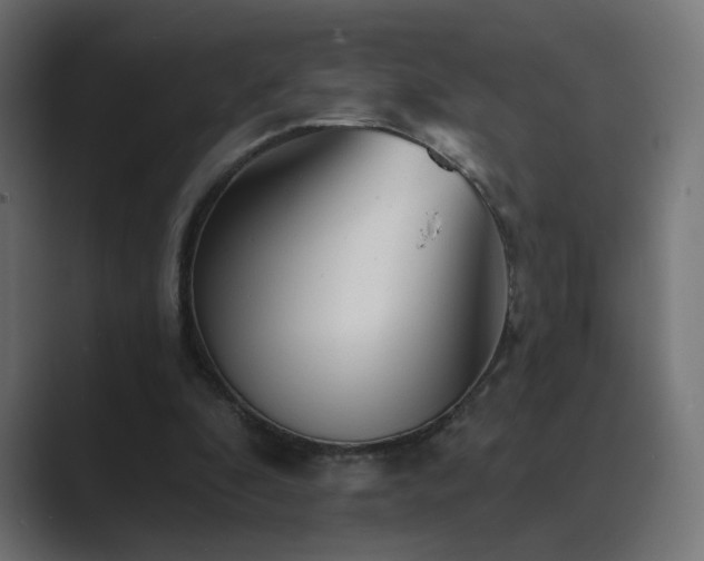 X0000089960296200706291234