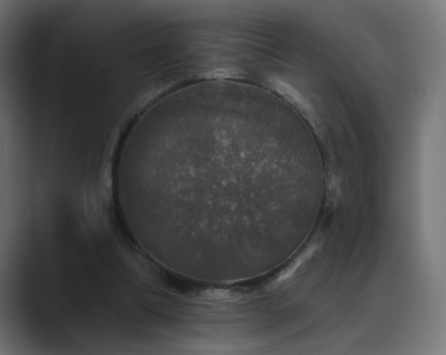 X0000089960298200706291234