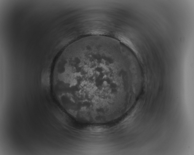 X0000089960299200706291234