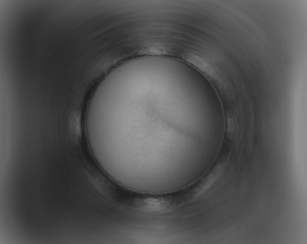 X0000089960302200706291234