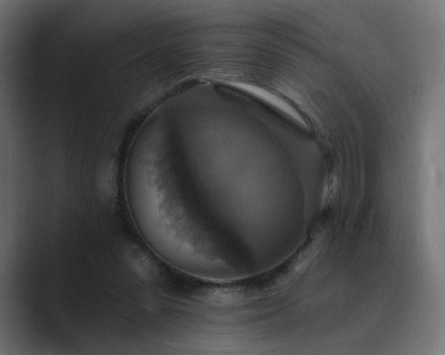 X0000089960303200706291234