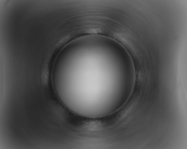 X0000089960304200706291234