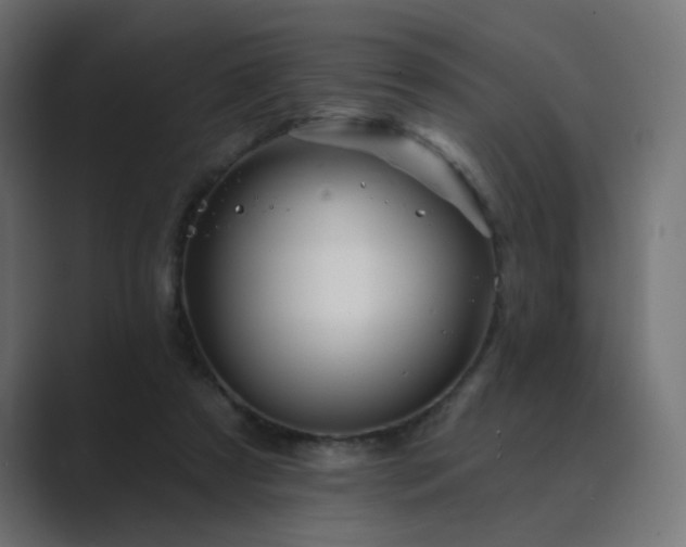 X0000089960305200706291234