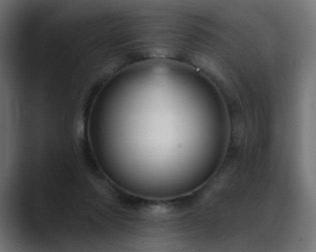 X0000089960310200706291234