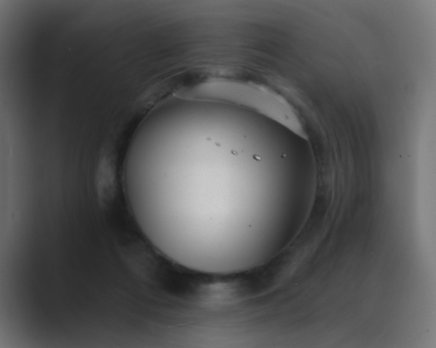 X0000089960312200706291234