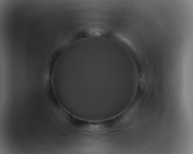 X0000089960314200706291234