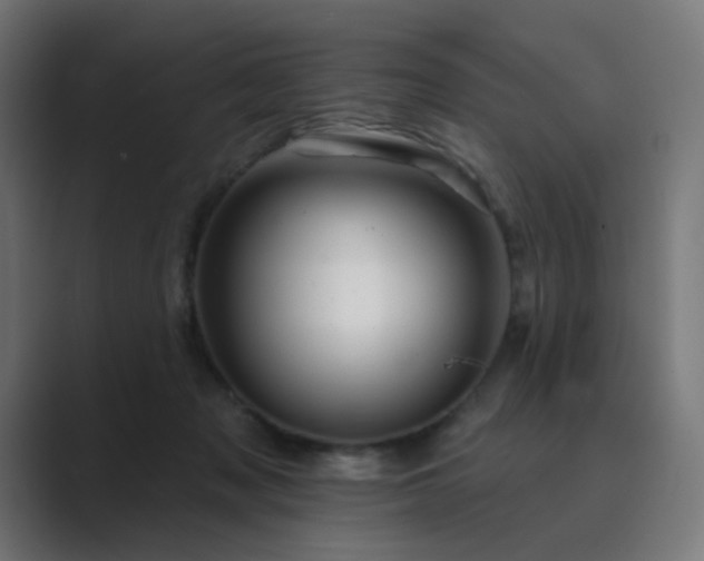 X0000089960317200706291234