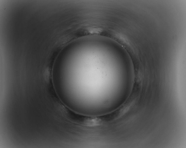 X0000089960321200706291234
