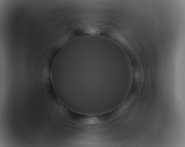 X0000089960322200706291234