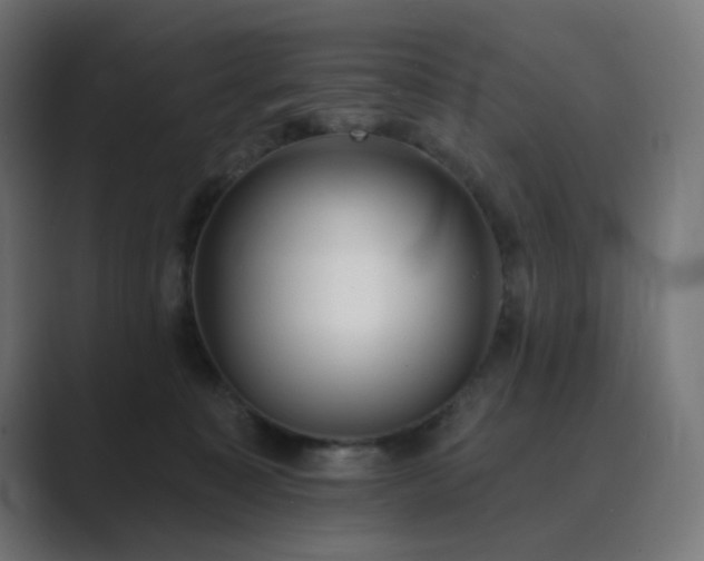 X0000089960323200706291234