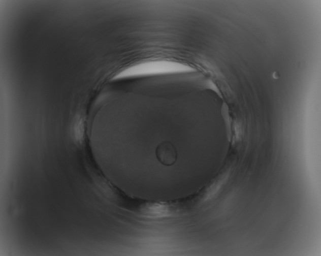 X0000089960325200706291234