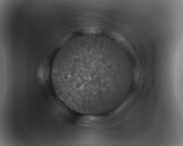 X0000089960326200706291234
