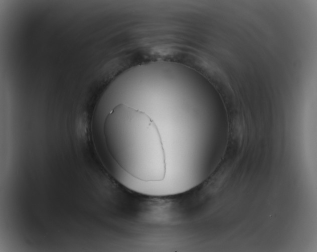 X0000089960328200706291234