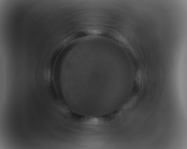 X0000089960330200706291234