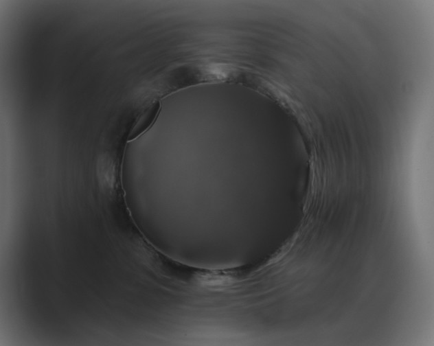 X0000089960331200706291234