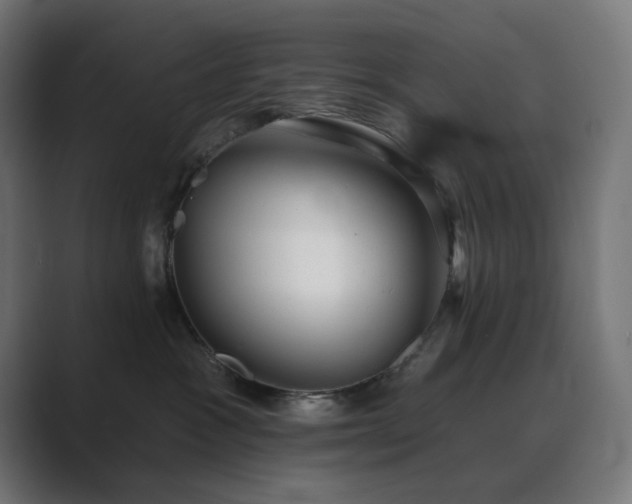 X0000089960333200706291234