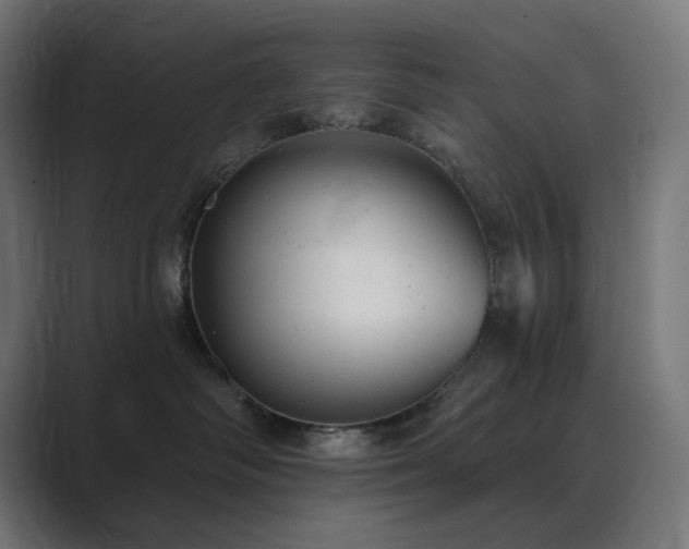 X0000089960334200706291234