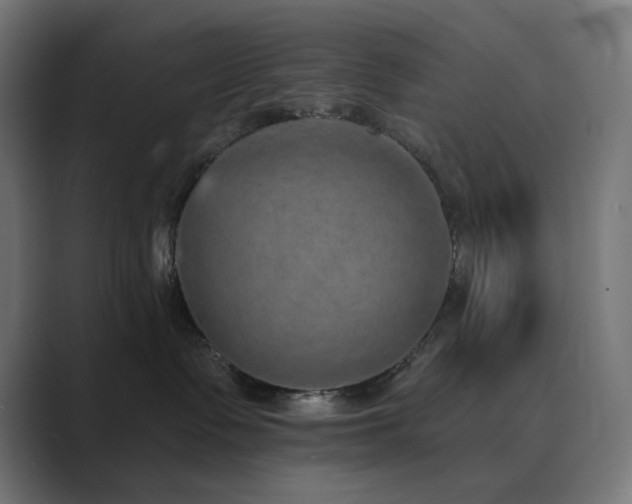 X0000089960335200706291234