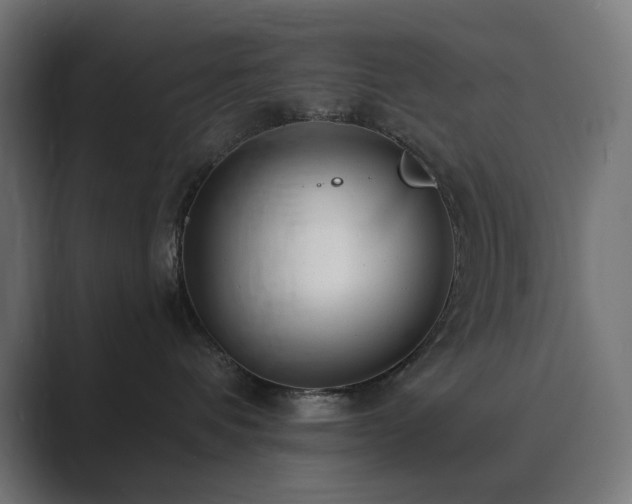 X0000089960336200706291234