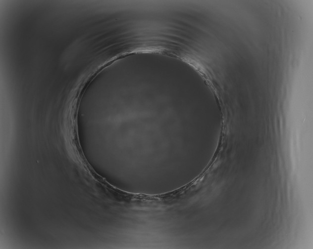 X0000089960337200706291233