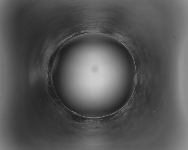 X0000089960338200706291233