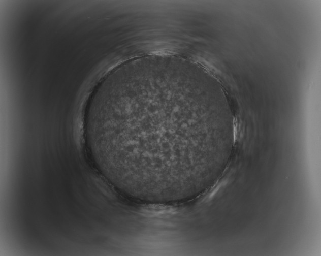 X0000089960339200706291233