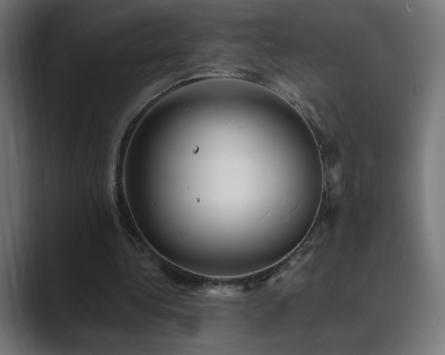 X0000089960340200706291233