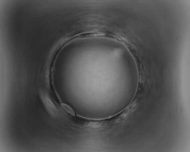 X0000089960341200706291233