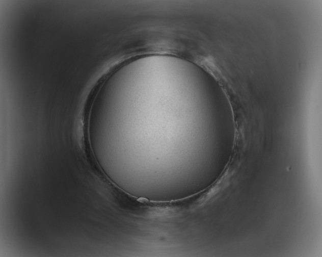 X0000089960342200706291233
