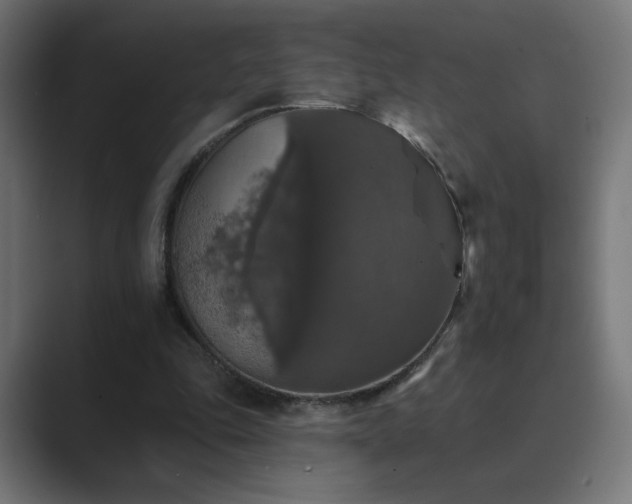 X0000089960343200706291233