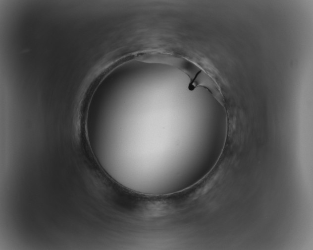 X0000089960344200706291233