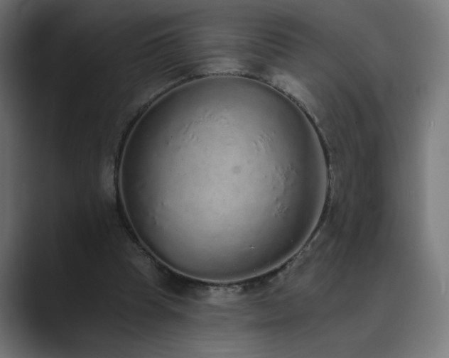 X0000089960345200706291233