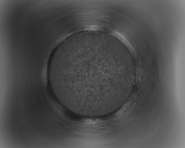 X0000089960346200706291233