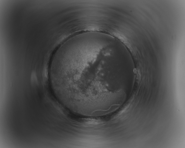 X0000089960347200706291233
