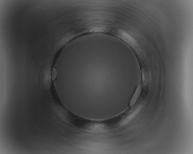 X0000089960348200706291233