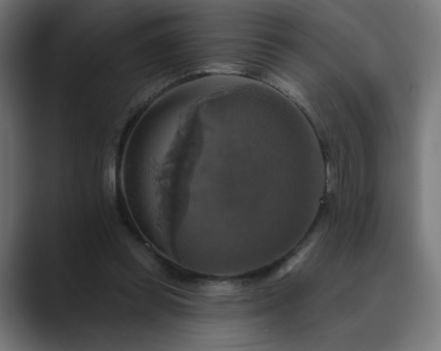 X0000089960349200706291233